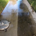 Driveway job