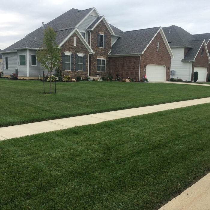 Mowing stripes