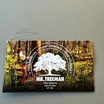 Tree service in action