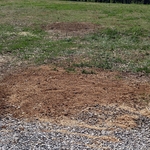 stump grinding
