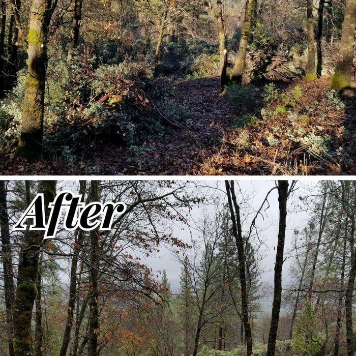 Brush clearing/winter burning