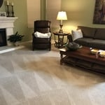Carpet Cleaning