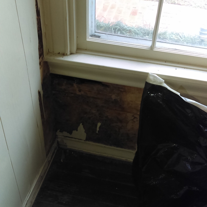 Front Window