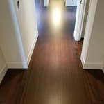 Stained Jatoba