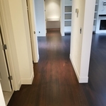 Stained Jatoba