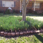 pavers