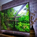 TV Mounted with LEDs