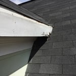 Soffit report replace