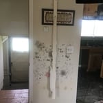 Water/Mold Damage