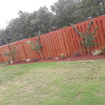 FLOWER BED