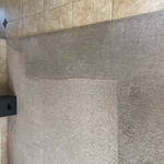 Dirty carpet and tile pic
