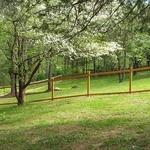 Fence
