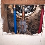 Appearance of Mold