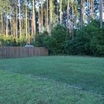 After Sod Installation