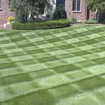Lawn Maintenance