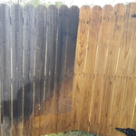 Privacy Fence