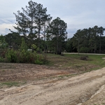 After the cleanup on one side of the driveway,