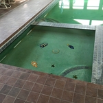 Bird Pool Remodel