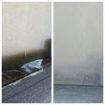 Moss/mold removal