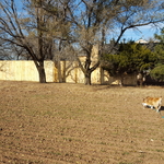 Fence side west