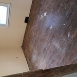 Hardwood Floors/Landscape