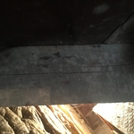 Attic Mold growth