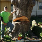 140 ft pecan