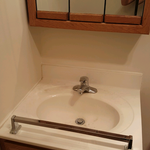 Before Photo of SInk