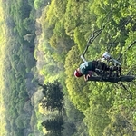 Tree Cutting Process