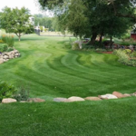 Residential lawn mowing