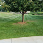 Residential lawn mowing