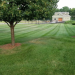 Residential lawn mowing