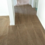 There's My Carpet