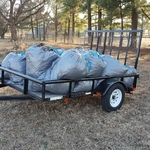 Leaf Removal