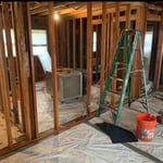 MOLD REMOVAL