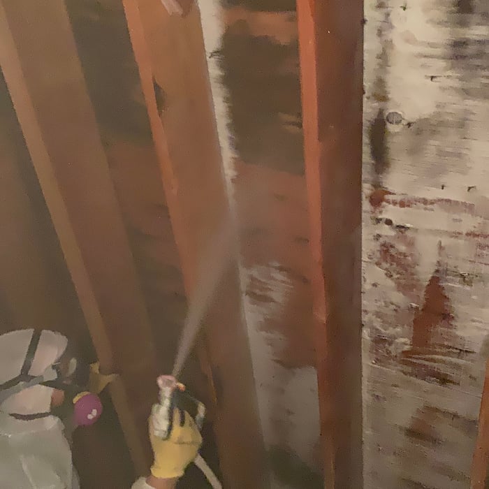 Mold removal