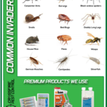 Crossfire Pest Control