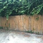 Before strip and pressure wash.