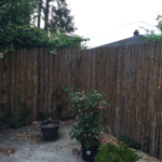 Before strip and pressure wash.