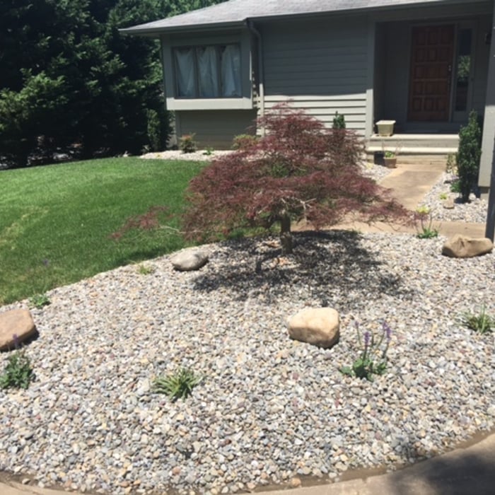 Zero Maintenance Landscape Design