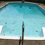 liner1