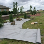 landscape mound