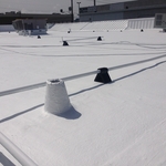 6500 sq ft