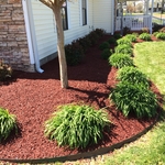 Makes the shrubs pop!