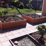 Backyard Features