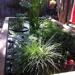Backyard Features