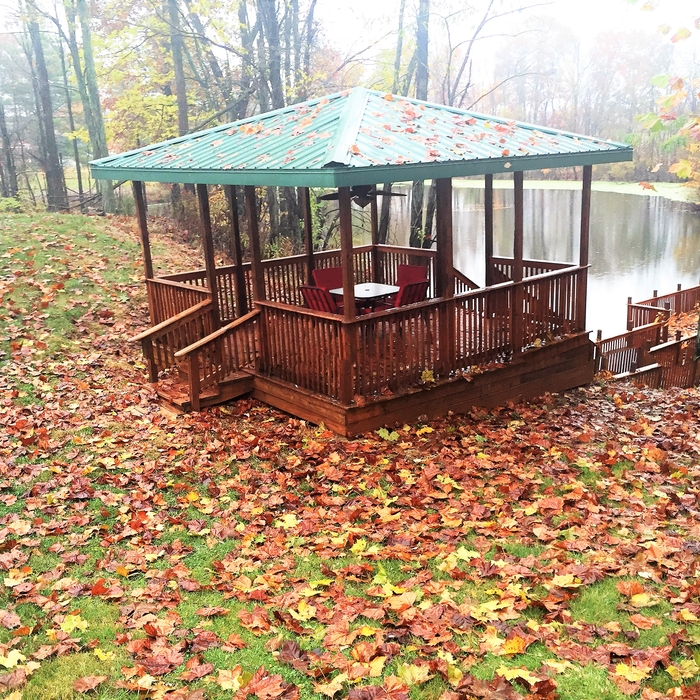 Centerpoint- Deck and Dock