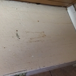 clean house space