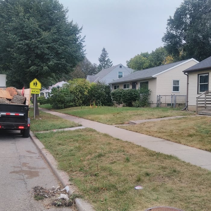 Tree removed. Picture before stump grinding