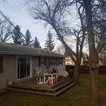 Trees trimmed fall clean up